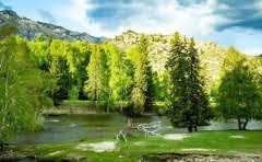 京东优惠劵可以叠加吗?