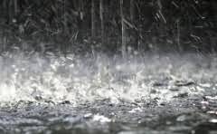 租借充电宝没有归还会怎么样?