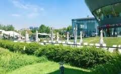 车子中间是刹车?