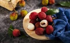 招标人可以评标吗?