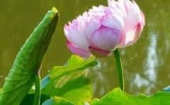 洗衣机很多絮状物?