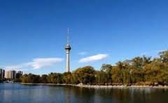 大豆被怎么样洗涤?