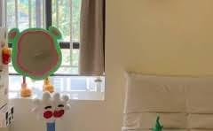 恒温水壶能把水烧到100度吗?