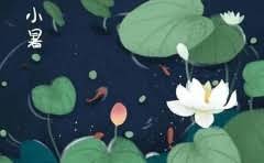 东营市体校怎么样?