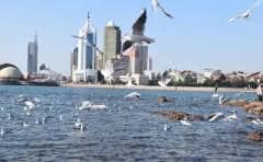 卫生间地面做防水用901行吗?